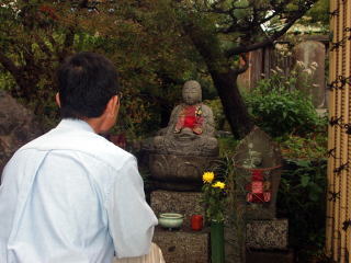 �����n����