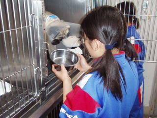 ���a�������