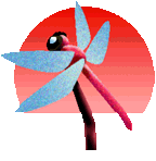 �����Ƃ��